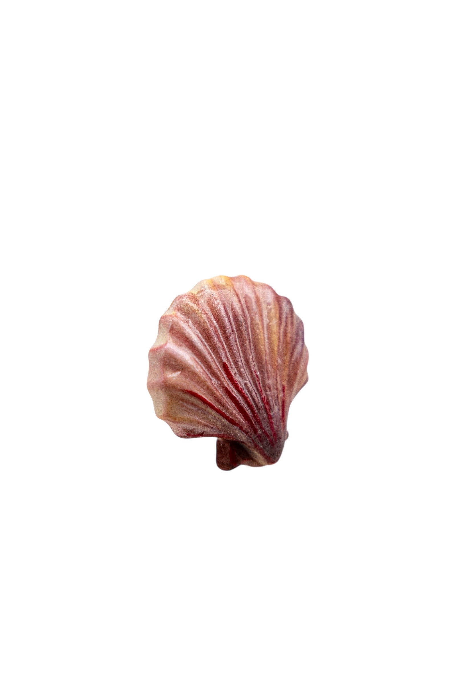 CORAL SHELL - Polymer Clay Ring - S/S '26